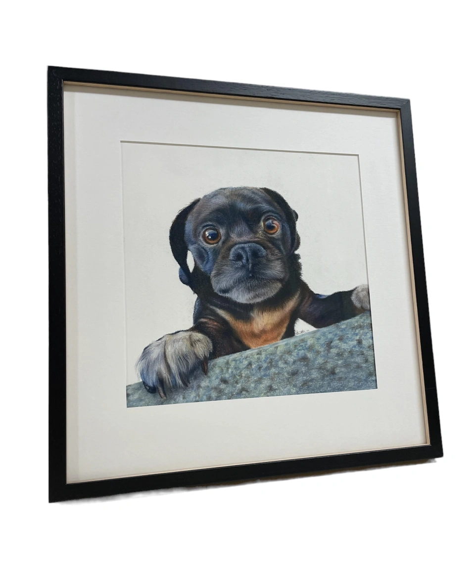 Photo Room 20230615 172451