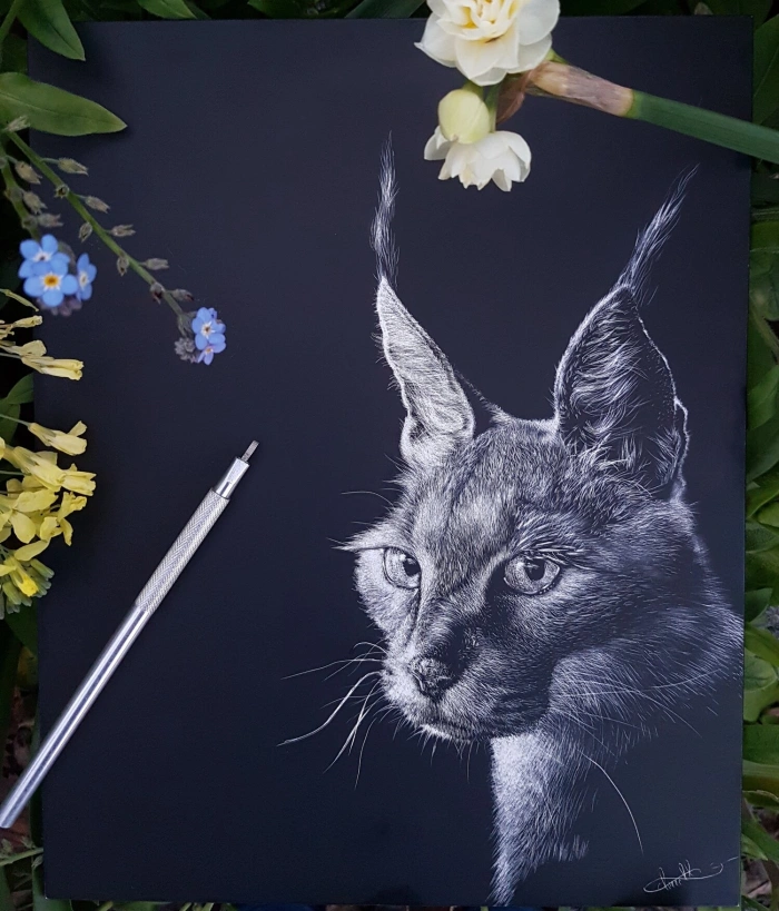 IMG 20180805 174648 587